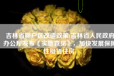 吉林省棚户区改造政策(吉林省人民政府办公厅发布《实施意见》，加快发展保障性租赁住房)