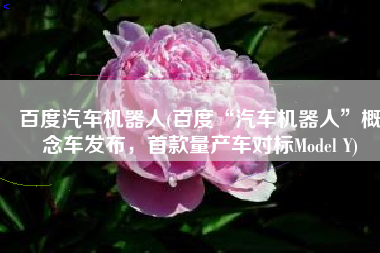 百度汽车机器人(百度“汽车机器人”概念车发布，首款量产车对标Model Y)