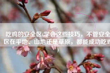 吃鸡的安全区(学会这些技巧，不管安全区在平地、山地还是草原，都能成功吃鸡)