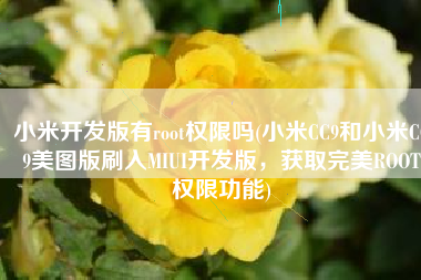 小米开发版有root权限吗(小米CC9和小米CC9美图版刷入MIUI开发版，获取完美ROOT权限功能)