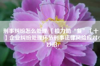 刑事纠纷怎么处理(【检力助“复”（十）】企业纠纷处理环节刑事法律风险应对小妙招)