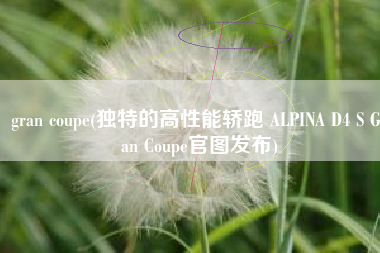 gran coupe(独特的高性能轿跑 ALPINA D4 S Gran Coupe官图发布)