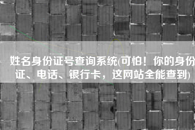 姓名身份证号查询系统(可怕！你的身份证、电话、银行卡，这网站全能查到)