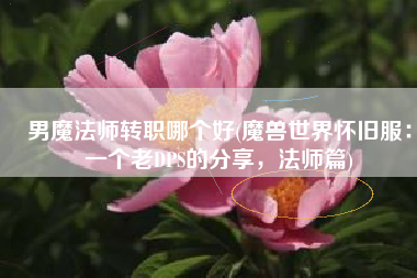 男魔法师转职哪个好(魔兽世界怀旧服：一个老DPS的分享，法师篇)