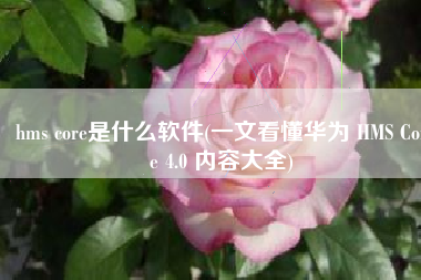 hms core是什么软件(一文看懂华为 HMS Core 4.0 内容大全)