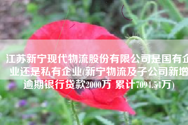 江苏新宁现代物流股份有限公司是国有企业还是私有企业(新宁物流及子公司新增逾期银行贷款2000万 累计7094.54万)