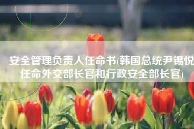 安全管理负责人任命书(韩国总统尹锡悦任命外交部长官和行政安全部长官)