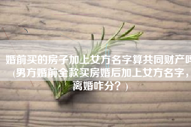 婚前买的房子加上女方名字算共同财产吗(男方婚前全款买房婚后加上女方名字，离婚咋分？)