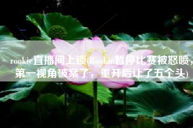 rookie直播间上锁(Rookie暂停比赛被怒喷，第一视角破案了，重开后让了五个头)