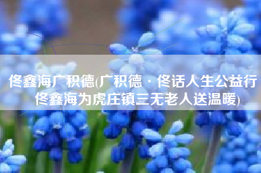 佟鑫海广积德(广积德·佟话人生公益行丨佟鑫海为虎庄镇三无老人送温暖)