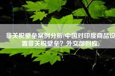 非关税壁垒案例分析(中国对印度商品设置非关税壁垒？外交部回应)