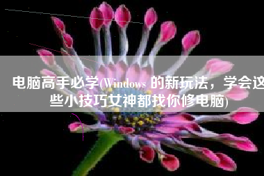 电脑高手必学(Windows 的新玩法，学会这些小技巧女神都找你修电脑)