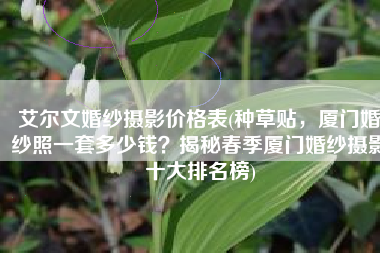 艾尔文婚纱摄影价格表(种草贴，厦门婚纱照一套多少钱？揭秘春季厦门婚纱摄影十大排名榜)