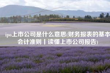 ipo上市公司是什么意思(财务报表的基本会计准则丨读懂上市公司报告)