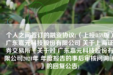 个人之间签订的融资协议(（上接D59版）广东嘉元科技股份有限公司 关于上海证券交易所《关于对 广东嘉元科技股份有限公司2021年 年度报告的事后审核问询函》的回复公告)