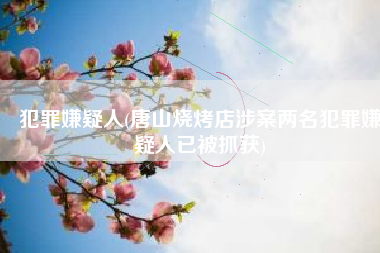 犯罪嫌疑人(唐山烧烤店涉案两名犯罪嫌疑人已被抓获)