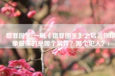 猎罪图鉴(一刷《猎罪图鉴》之后，你印象最深的是哪个案件？哪个犯人？)