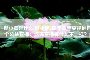 度小满是什么(度小满2周年牵手央视推首个公益直播：这场直播有什么不一样？)