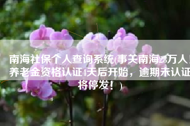 南海社保个人查询系统(事关南海28万人！养老金资格认证4天后开始，逾期未认证将停发！)