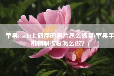 苹果icould上储存的照片怎么恢复(苹果手机相册恢复怎么做？)