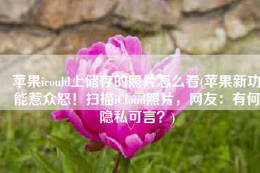 苹果icould上储存的照片怎么看(苹果新功能惹众怒！扫描iCloud照片，网友：有何隐私可言？)