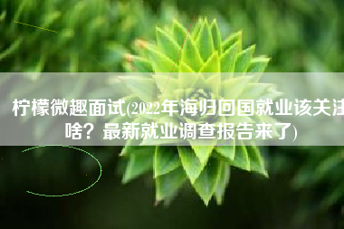 柠檬微趣面试(2022年海归回国就业该关注啥？最新就业调查报告来了)
