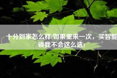 十分到家怎么样(如果重来一次，买智能锁我不会这么选)