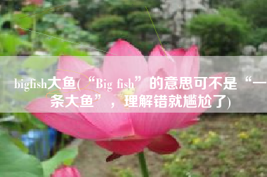 bigfish大鱼(“Big fish”的意思可不是“一条大鱼”，理解错就尴尬了)