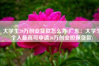 大学生20万创业贷款怎么办(广东：大学生个人最高可申请30万创业担保贷款)