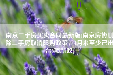南京二手房买卖合同最新版(南京房协删除二手房取消限购政策，4月来至少已出台6项新政)