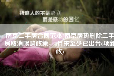 南京二手房合同范本(南京房协删除二手房取消限购政策，4月来至少已出台6项新政)