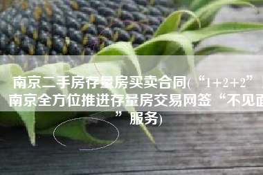 南京二手房存量房买卖合同(“1+2+2”！南京全方位推进存量房交易网签“不见面”服务)