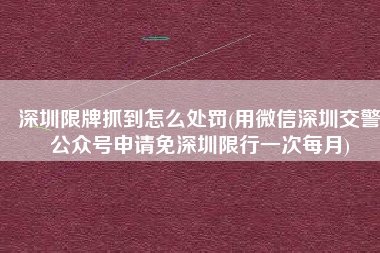 深圳限牌抓到怎么处罚(用微信深圳交警公众号申请免深圳限行一次每月)