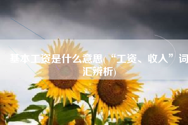 基本工资是什么意思(“工资、收入”词汇辨析)