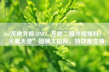 dnf龙袍外观(DNF：龙袍二期外观爆料！“光翼天使”翅膀太拉风，特效是变身)