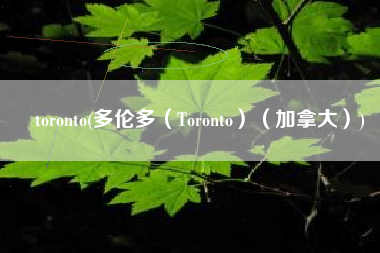 toronto(多伦多（Toronto）（加拿大）)