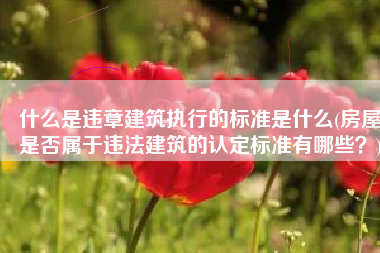 什么是违章建筑执行的标准是什么(房屋是否属于违法建筑的认定标准有哪些？)