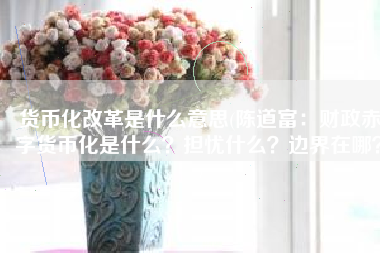 货币化改革是什么意思(陈道富：财政赤字货币化是什么？担忧什么？边界在哪？)