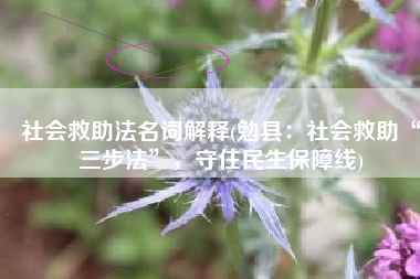 社会救助法名词解释(勉县：社会救助“三步法”，守住民生保障线)