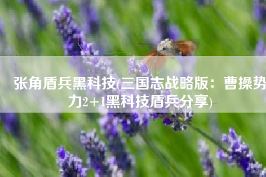 张角盾兵黑科技(三国志战略版：曹操势力2+1黑科技盾兵分享)