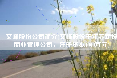 文峰股份公司简介(文峰股份于江苏新设商业管理公司，注册资本1000万元)