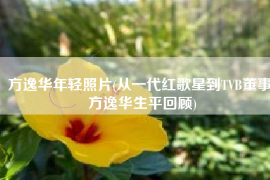 方逸华年轻照片(从一代红歌星到TVB董事 方逸华生平回顾)