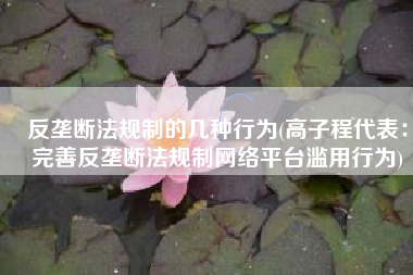 反垄断法规制的几种行为(高子程代表：完善反垄断法规制网络平台滥用行为)