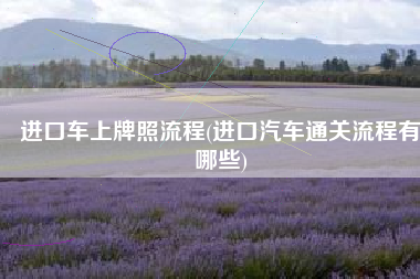 进口车上牌照流程(进口汽车通关流程有哪些)