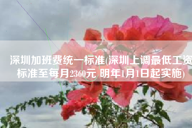 深圳加班费统一标准(深圳上调最低工资标准至每月2360元 明年1月1日起实施)