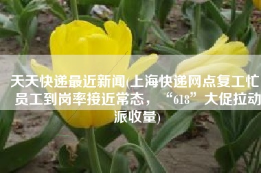 天天快递最近新闻(上海快递网点复工忙：员工到岗率接近常态，“618”大促拉动派收量)
