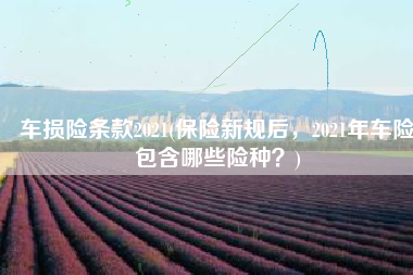 车损险条款2021(保险新规后，2021年车险包含哪些险种？)