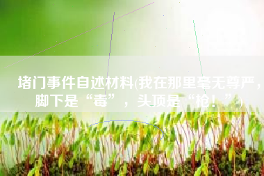 堵门事件自述材料(我在那里毫无尊严，脚下是“毒”，头顶是“枪！”)