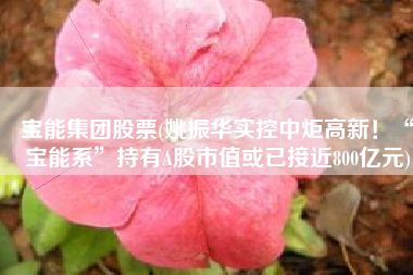 宝能集团股票(姚振华实控中炬高新！“宝能系”持有A股市值或已接近800亿元)