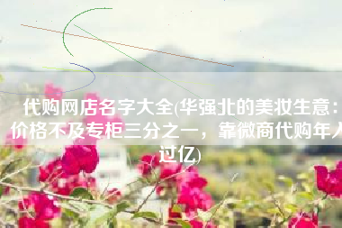 代购网店名字大全(华强北的美妆生意：价格不及专柜三分之一，靠微商代购年入过亿)